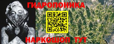 МДПВ Краснознаменск