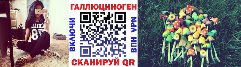 Псилоцибиновые грибы прущие грибы  Сокол 