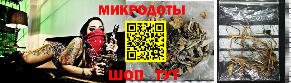 Псилоцибиновые грибы прущие грибы Сокол